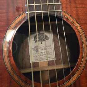 Tanglewood TW-MINI-E KOA Winterleaf Exotic Travel with Elect item