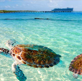 Mexico Caribbean Resort Collection, 5 Night All Inclusive item