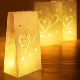 YOU LIGHT UP MY LIFE VALENTINE! Luminary item