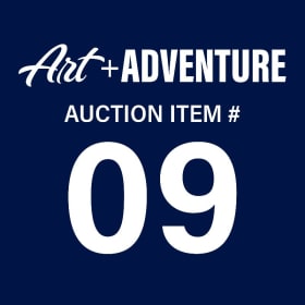 #09 - Bird House (Art) item