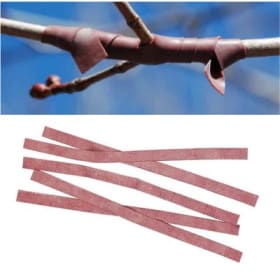 Grafting Rubbers 7” x ¼" - 10 pk item