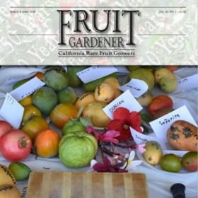 Fruit Gardener Magazine - Vintage Issues item