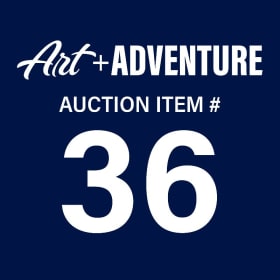 #36 - Party Perfect: Birthday Bash Bundle (Adventure) item