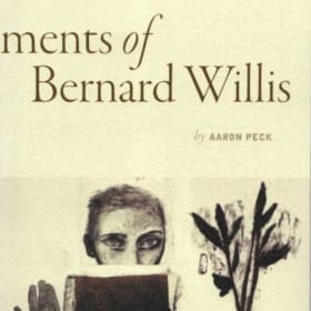 The Bewilderments of Bernard Willis item