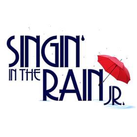 Digital Video Link item