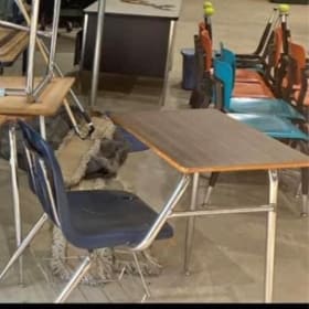 School Desks item