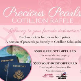 Southwest Gift Card Raffle - 1 ticket item