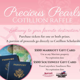 Southwest Gift Card Raffle - 15 tickets item