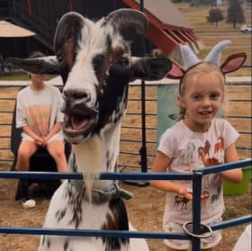 Jun 16-20: GOATS & ARTS item