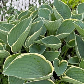 H. 'And You and I" item