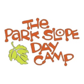 Park Slope Day Camp - $500 towards Camp (Multi-activity) item