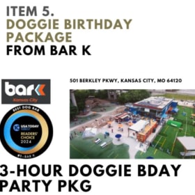 5. Doggie Birthday Package from BarK item