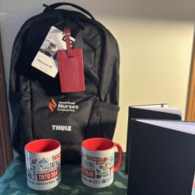 ANA "The Power of Nursing" Gear item