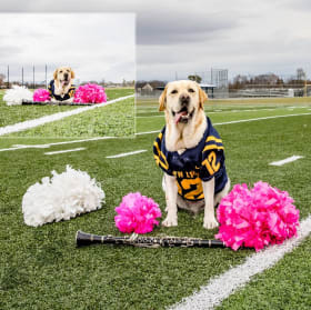 SEL Dog Calendar item