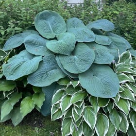 H. 'Clear Blue Lake' OS item