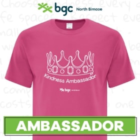 Adult t-shirt (2x-large) item