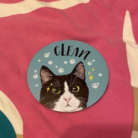 Dishwasher Magnet (Clean & Dirty) item