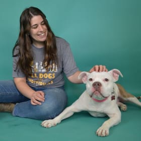 All Dogs Are Individuals- Unisex Triblend Tee item