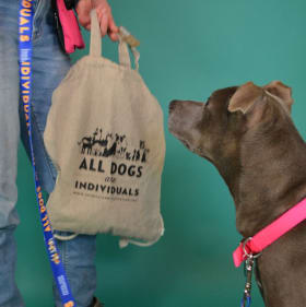 All Dogs Are Individuals Tote Bag item