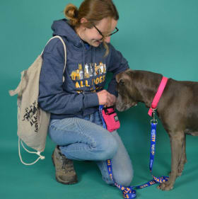 All Dogs Are Individuals Tote Bag item