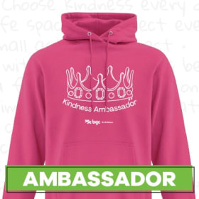 Adult hoodie (large) item