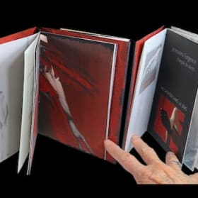 Livre de chair - Johanne Chagnon item