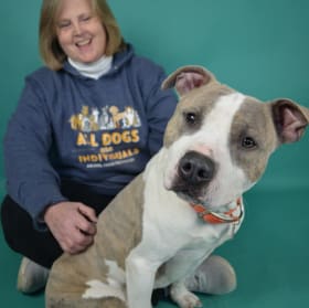 All Dogs Are Individuals Sweatshirt item