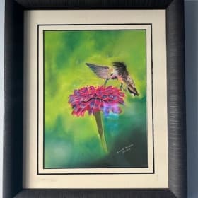 Hummingbird on Zinnia - Original artwork by Steve Nisbet item