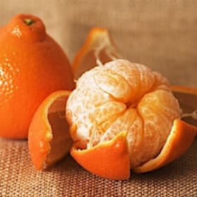 Tangelo, Minneola- 3 Gallon item