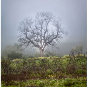 Kimberly Clark Photography item