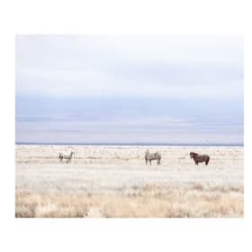 Kimberly Clark Photography item