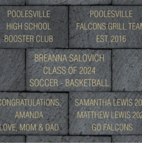 Legacy Brick 4 x 8 item