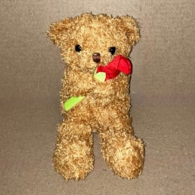 Bear Stuffed Animal item