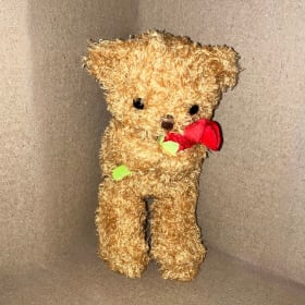 Bear Stuffed Animal item