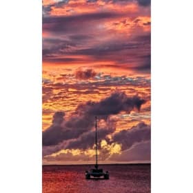 Sail the Carribean with the Heeling Vet item
