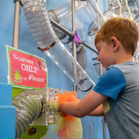 Sacramento Children's Museum item