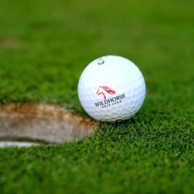 Golf Foursome - Wildhorse Gold Club item