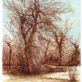 Winter Trees	Winter item