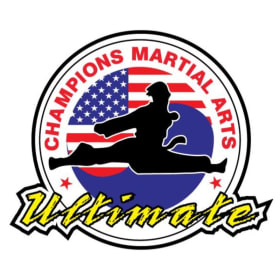 Champions Martial Arts - 1 day camp - 3 of 3 item