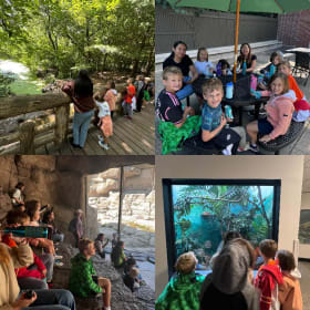 Champions Martial Arts - 1 day camp - 3 of 3 item