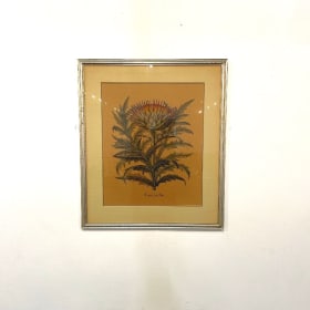 Basil Besler Botanical Print item