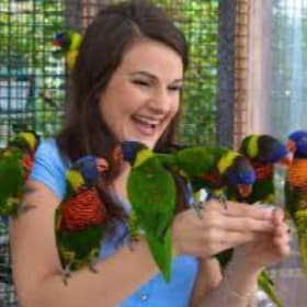 1 Year Family Membership to the Houston Interactive Aquarium item