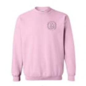 Crewneck ROSE PÂLE item
