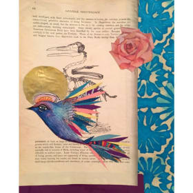 19. "Spirit Bird Book" by Jen Morris item