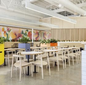 Please Beverage Co. $50 Gift Card + Mix Sampler Pack item