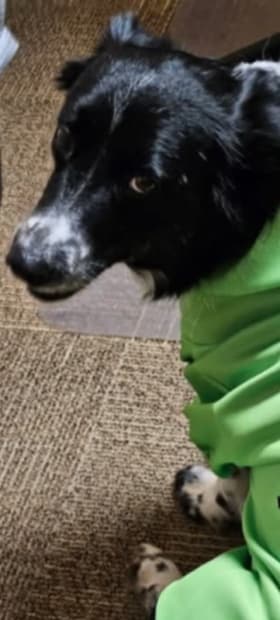 H&R Block Tax Return Preparation item