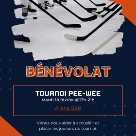 Bénévolat: Hockey - mardi 18 février @17h-21h item