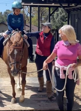 Single Therapeutic Lesson item