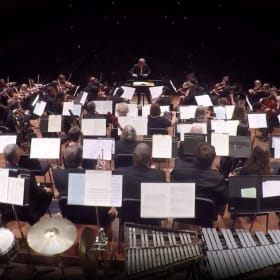 🎫 Backstage Pass: Experience the Orchestra from Within! item