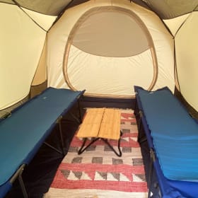 Full Tent Set-Up & Take Down - $300 item